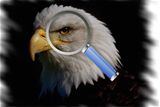 Eagle Eye